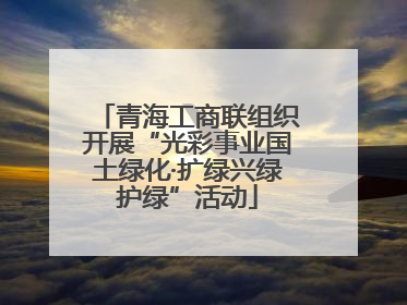青海工商联组织开展“光彩事业国土绿化·扩绿兴绿护绿”活动