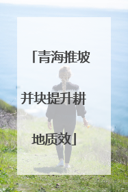 青海推坡并块提升耕地质效