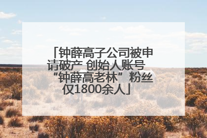 钟薛高子公司被申请破产 创始人账号“钟薛高老林”粉丝仅1800余人
