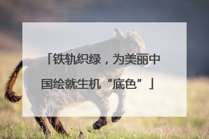 铁轨织绿，为美丽中国绘就生机“底色”