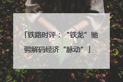 铁路时评：“铁龙”驰骋解码经济“脉动”