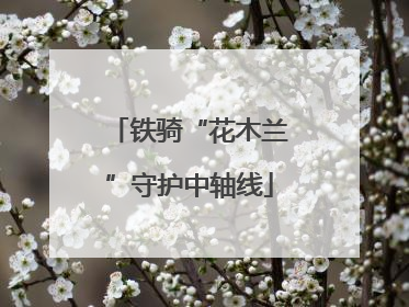 铁骑“花木兰”守护中轴线
