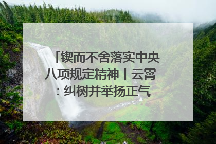 锲而不舍落实中央八项规定精神丨云霄：纠树并举扬正气 作风建设谱新章