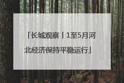 长城观察丨1至5月河北经济保持平稳运行
