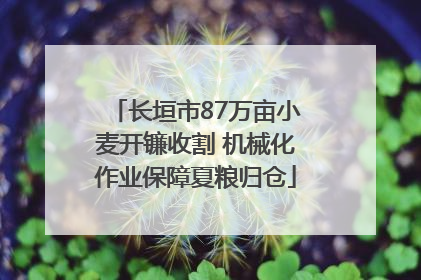 长垣市87万亩小麦开镰收割 机械化作业保障夏粮归仓