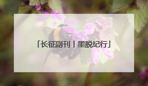 长征副刊丨墨脱纪行