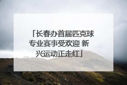 长春办首届匹克球专业赛事受欢迎 新兴运动正走红