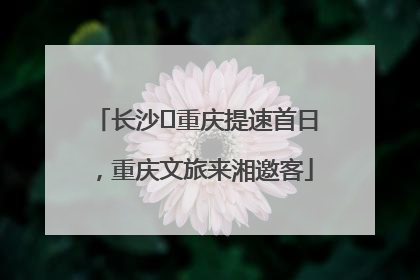 长沙⇌重庆提速首日，重庆文旅来湘邀客