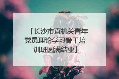 长沙市直机关青年党员理论学习骨干培训班圆满结业