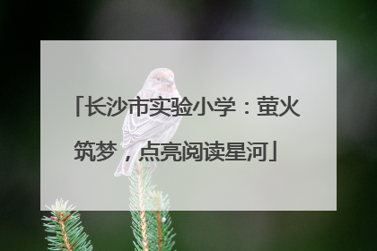 长沙市实验小学：萤火筑梦，点亮阅读星河