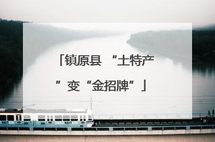 镇原县 “土特产”变“金招牌”