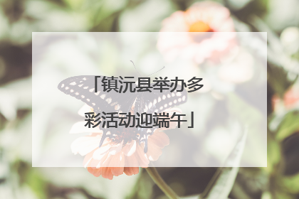 镇沅县举办多彩活动迎端午