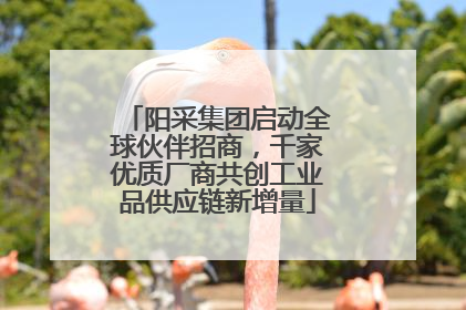 阳采集团启动全球伙伴招商，千家优质厂商共创工业品供应链新增量