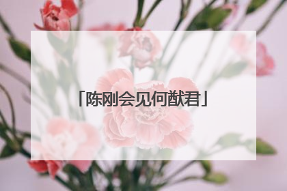 陈刚会见何猷君