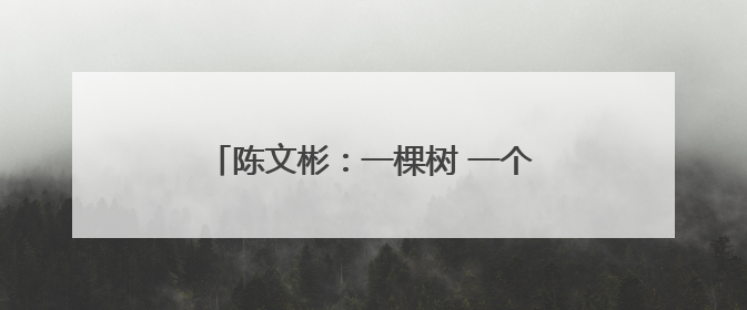 陈文彬：一棵树 一个庄 一块碑 一位英雄