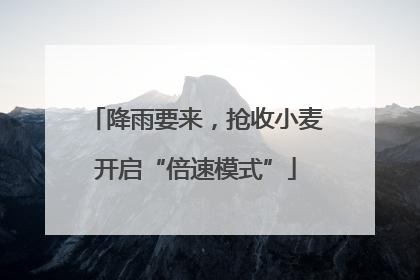 降雨要来，抢收小麦开启“倍速模式”