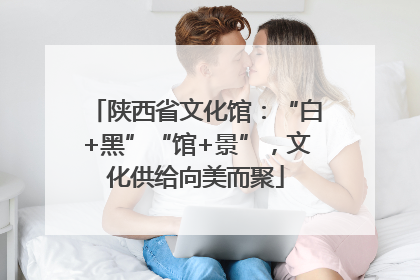 陕西省文化馆：“白+黑”“馆+景”，文化供给向美而聚