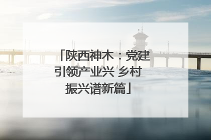 陕西神木：党建引领产业兴 乡村振兴谱新篇