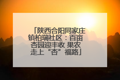 陕西合阳同家庄镇柏瑞社区：百亩杏园迎丰收 果农走上“杏”福路