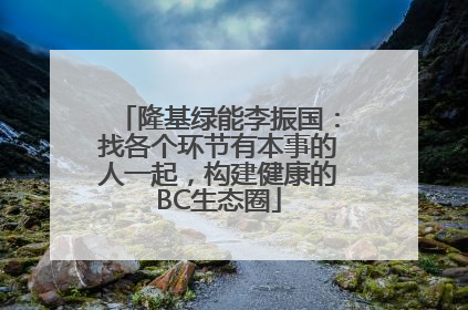 隆基绿能李振国：找各个环节有本事的人一起，构建健康的BC生态圈