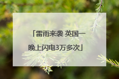 雷雨来袭 英国一晚上闪电3万多次