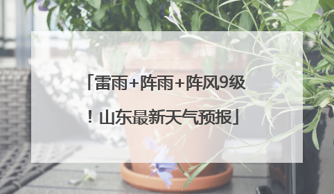 雷雨+阵雨+阵风9级！山东最新天气预报