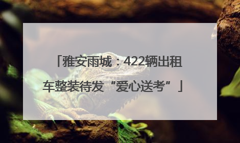 雅安雨城：422辆出租车整装待发“爱心送考”