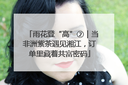 雨花登“高”②｜当非洲紫茶遇见湘江，订单里藏着共富密码