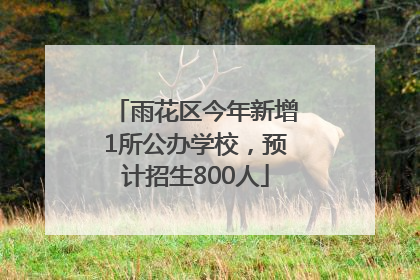 雨花区今年新增1所公办学校，预计招生800人