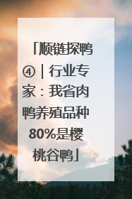 顺链探鸭④｜行业专家：我省肉鸭养殖品种80%是樱桃谷鸭
