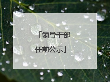 领导干部任前公示