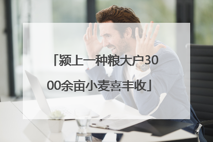 颍上一种粮大户3000余亩小麦喜丰收