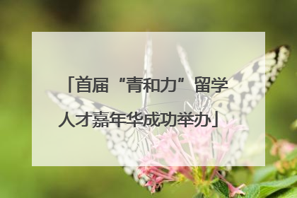 首届“青和力”留学人才嘉年华成功举办