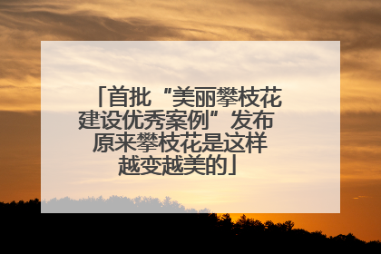 首批“美丽攀枝花建设优秀案例”发布 原来攀枝花是这样越变越美的