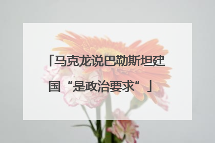 马克龙说巴勒斯坦建国“是政治要求”