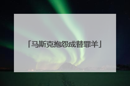 马斯克抱怨成替罪羊