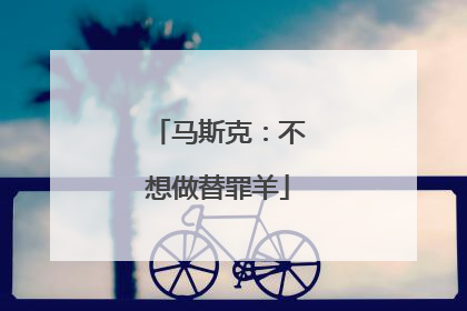 马斯克：不想做替罪羊