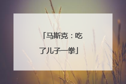 马斯克：吃了儿子一拳