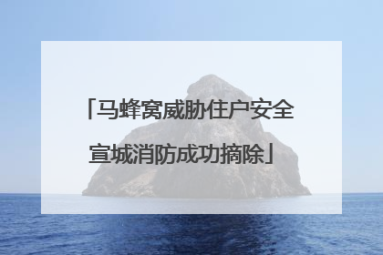 马蜂窝威胁住户安全 宣城消防成功摘除