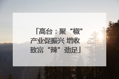 高台：聚“椒”产业促振兴 增收致富“辣”劲足