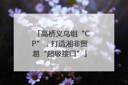 高桥义乌组“CP”，打造湘非贸易“超级接口”