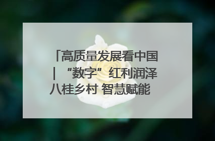 高质量发展看中国｜“数字”红利润泽八桂乡村 智慧赋能绘就振兴画卷