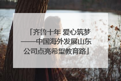 齐鲁十年 爱心筑梦——中国海外发展山东公司点亮希望教育路