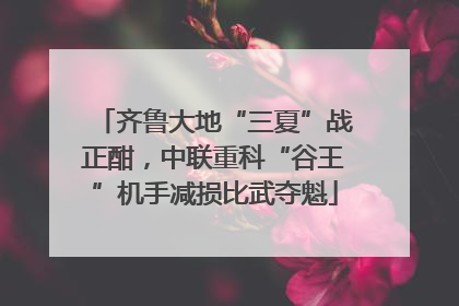 齐鲁大地“三夏”战正酣，中联重科“谷王”机手减损比武夺魁