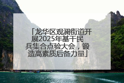 龙华区观澜街道开展2025年基干民兵集合点验大会，锻造高素质后备力量