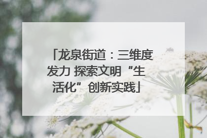 龙泉街道：三维度发力 探索文明“生活化”创新实践