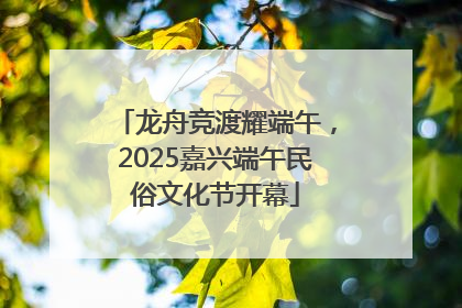 龙舟竞渡耀端午，2025嘉兴端午民俗文化节开幕