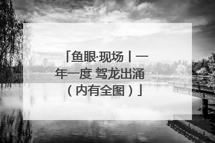 鱼眼·现场丨一年一度 驾龙出涌（内有全图）
