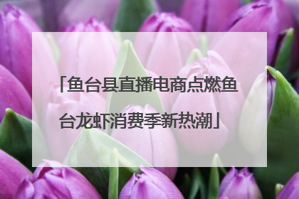 鱼台县直播电商点燃鱼台龙虾消费季新热潮