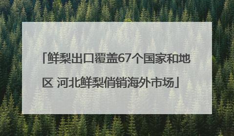 鲜梨出口覆盖67个国家和地区 河北鲜梨俏销海外市场